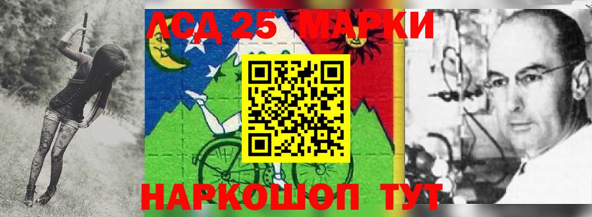 LSD-25 экстази  Вход с VPN  Курчалой  LSD-25 экстази кислота 