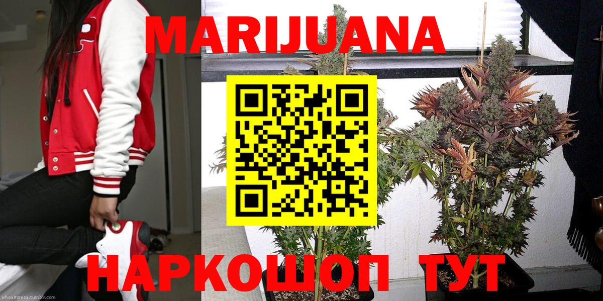 Курчалой  Бошки Шишки ГИДРОПОН  Вход с VPN  Каннабис SATIVA & INDICA 